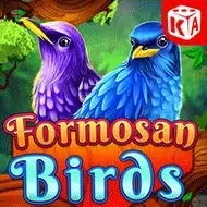 Formosan BirdsKA Gaming